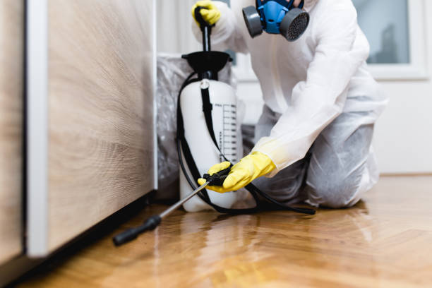 Best Termite Control Services  in Marlton, NJ
