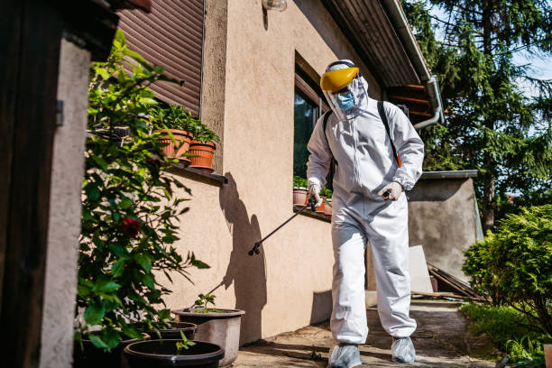 Best Rat Extermination Near Me  in Marlton, NJ