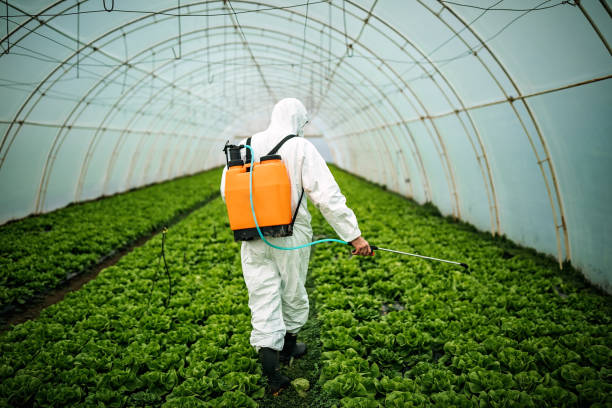Best Pest Prevention Services  in Marlton, NJ