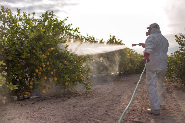  Marlton, NJ Pest Control Pros