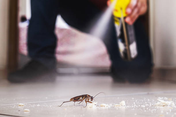 Best Residential Pest Control  in Marlton, NJ