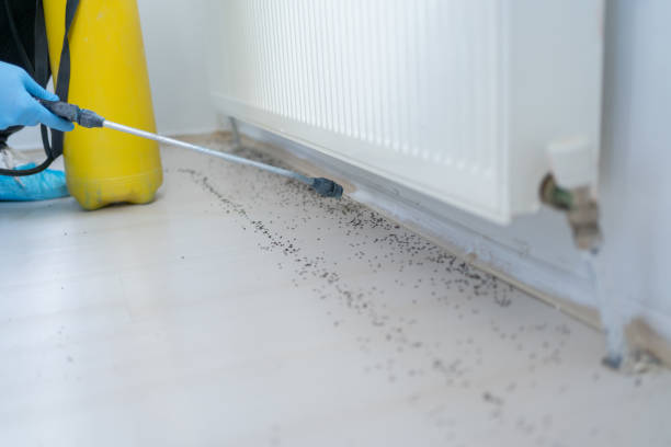 Marlton, NJ Pest Control Company