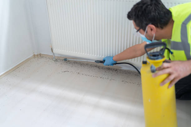 Best Best Pest Control Companies  in Marlton, NJ