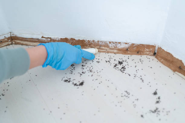 Best Pest Inspection Near Me  in Marlton, NJ